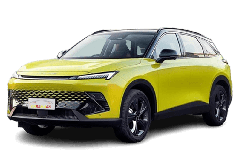 کفپوش چرمی بیجینگ X55