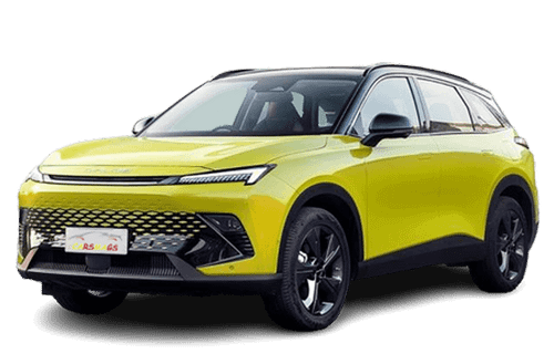 کفپوش چرمی بیجینگ X55